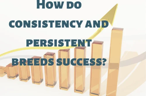 How do consistency and persistence breed success?